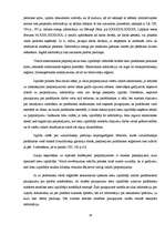 Diplomdarbs 'Zvērināta tiesu izpildītāja izpildu lietvedība', 17.