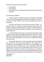 Diplomdarbs 'Zvērināta tiesu izpildītāja izpildu lietvedība', 31.