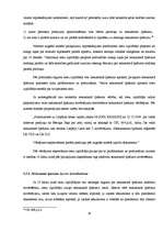 Diplomdarbs 'Zvērināta tiesu izpildītāja izpildu lietvedība', 35.