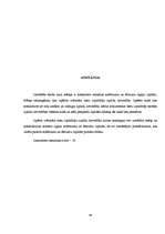 Diplomdarbs 'Zvērināta tiesu izpildītāja izpildu lietvedība', 43.