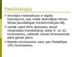 Prezentācija 'Hroniskas mieloleikozes raksturojums un laboratoriskā diagnostika', 3.