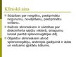 Prezentācija 'Hroniskas mieloleikozes raksturojums un laboratoriskā diagnostika', 4.