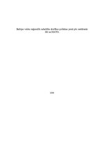 Eseja 'Baltijas valstu reģionālā sadarbība drošības politikas jomā pēc iestāšanās ES un', 1.