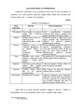 Paraugs 'Biznesa plāna nodaļa. Galvenie riski un problēmas', 1.