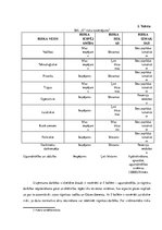 Paraugs 'Biznesa plāna nodaļa. Galvenie riski un problēmas', 2.