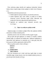 Diplomdarbs 'Peļņas un rentabilitātes vadīšana uzņēmumā', 30.