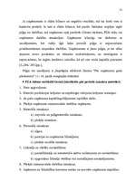 Diplomdarbs 'Peļņas un rentabilitātes vadīšana uzņēmumā', 31.