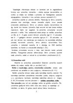 Prakses atskaite 'Attīstoši koriģējoša prakse', 3.