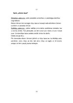 Prakses atskaite 'Attīstoši koriģējoša prakse', 19.