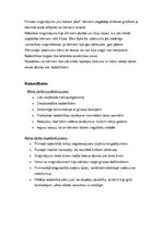 Prakses atskaite 'Attīstoši koriģējoša prakse', 29.