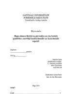 Diplomdarbs 'Rīgas domes kultūras pārvaldes un tās iestāžu padotība: atsevišķi institucionāli', 1.