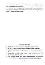 Referāts 'Svarīgākie vēstures pavērsieni Eiropas Savienības attīstībā', 17.