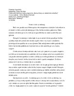 Eseja 'Stereotips - vīrieši ir slinki un nekārtīgi', 1.