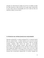 Referāts 'Kiras Muratovas kino estētika', 12.