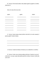 Konspekts 'Idejas rakstītprasmes attīstīšanai 3.klasei', 11.