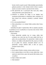 Konspekts 'Bilingvālā mācība', 2.