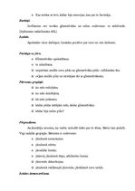 Konspekts 'Bilingvālā mācība', 3.