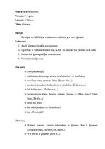 Konspekts 'Bilingvālā mācība', 5.