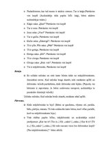 Konspekts 'Bilingvālā mācība', 8.