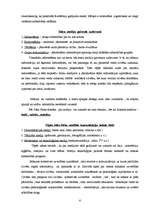 Referāts 'Masu mediju ietekme uz kolektīvo un individuālo apziņu', 6.