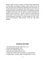 Referāts 'Masu mediju ietekme uz kolektīvo un individuālo apziņu', 21.