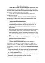 Referāts 'Uzņēmuma biznesa plāns', 3.