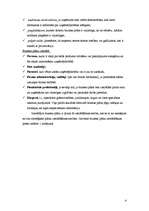 Referāts 'Uzņēmuma biznesa plāns', 4.