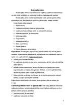 Referāts 'Uzņēmuma biznesa plāns', 6.