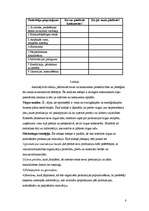 Referāts 'Uzņēmuma biznesa plāns', 8.