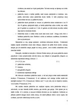 Referāts 'Emils Dirkheims "Pašnāvība"', 6.