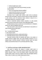 Referāts 'Saldskābmaizes ražošana', 13.