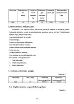 Referāts 'Saldskābmaizes ražošana', 16.