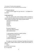 Referāts 'Saldskābmaizes ražošana', 22.