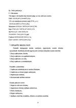 Referāts 'Saldskābmaizes ražošana', 23.