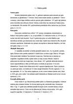 Referāts 'Tūrisms Jēkabpils rajonā', 6.