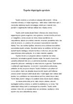 Referāts 'Tapetes', 2.