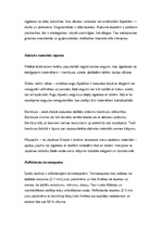 Referāts 'Tapetes', 5.