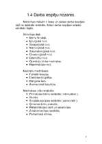 Referāts 'Medicīnas māsa. Profesijas izpēte', 8.