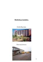 Referāts 'Medicīnas māsa. Profesijas izpēte', 14.