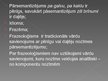 Prezentācija 'Frazeoloģismu daudzveidība televīzijas pārraidēs', 3.