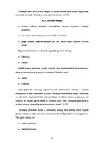 Referāts 'Operāciju māsu viedoklis par jauno operāciju māsu apmācības problēmām darbavietā', 21.