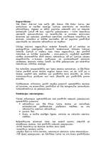 Biznesa plāns 'SIA "Fubars Internet"', 3.