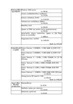 Biznesa plāns 'SIA "Fubars Internet"', 8.