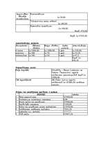 Biznesa plāns 'SIA "Fubars Internet"', 9.