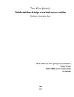 Referāts 'Mobilo telefonu kaitīgo staru ietekme uz veselību', 1.