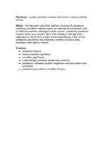 Referāts 'Atļauju, aizliegumu un pienākumu uzlikšanas metode', 6.