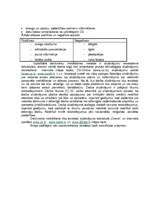 Prakses atskaite 'Biroja darba prakses atskaite', 29.