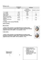 Prakses atskaite 'Biroja darba prakses atskaite', 44.