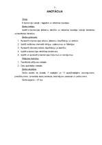 Referāts 'E-komercija Latvijā – tagadne un nākotnes iespējas', 2.