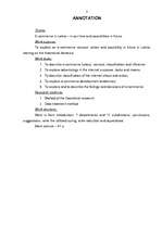 Referāts 'E-komercija Latvijā – tagadne un nākotnes iespējas', 3.